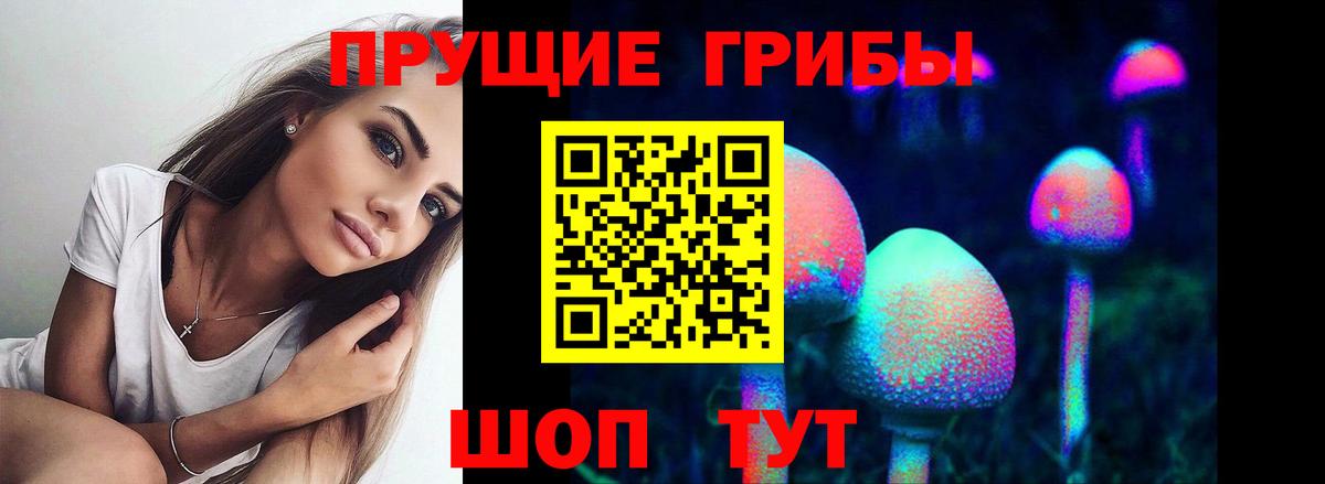 Галлюциногенные грибы прущие грибы  Вход с VPN  Аксай 