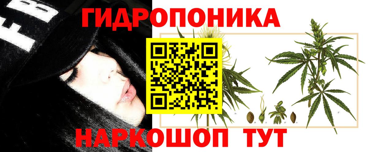 Аксай  Каннабис OG Kush  Бошки марихуана THC 21%  Вход с VPN  Канабис AK-47  Шишки марихуана семена 